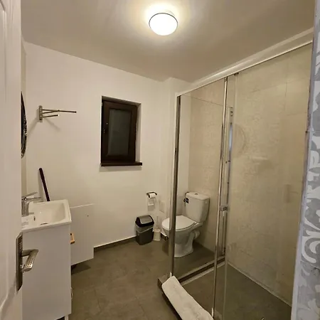 Analeya 艾福雷诺德